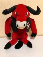 Basketball NBA Chicago Bulls Maskottchen Brandenburg - Lauchhammer Vorschau