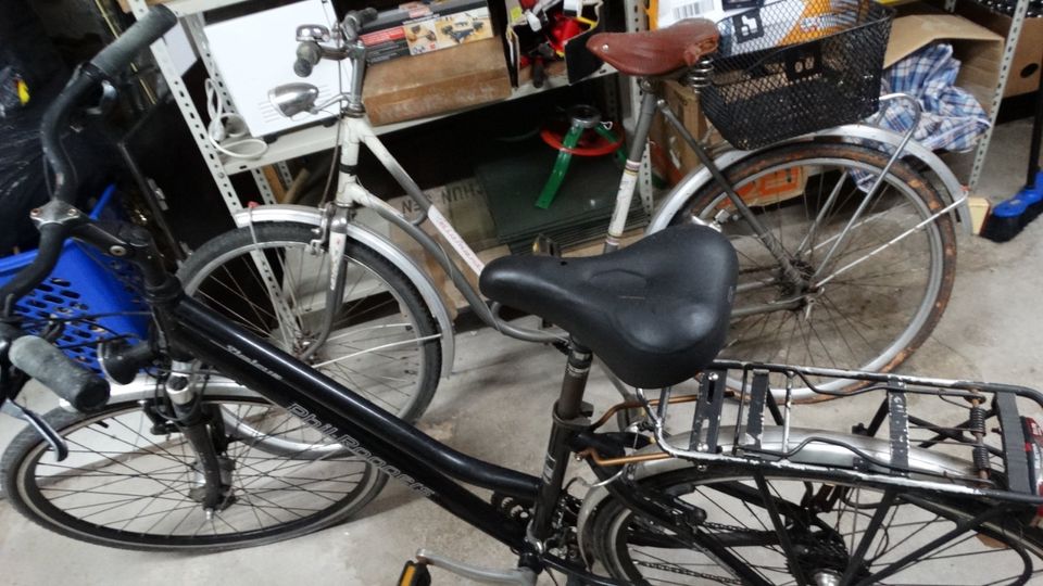 Damen Fahrrad  2 stück Phil-Rogger firma gebraucht in Dresden