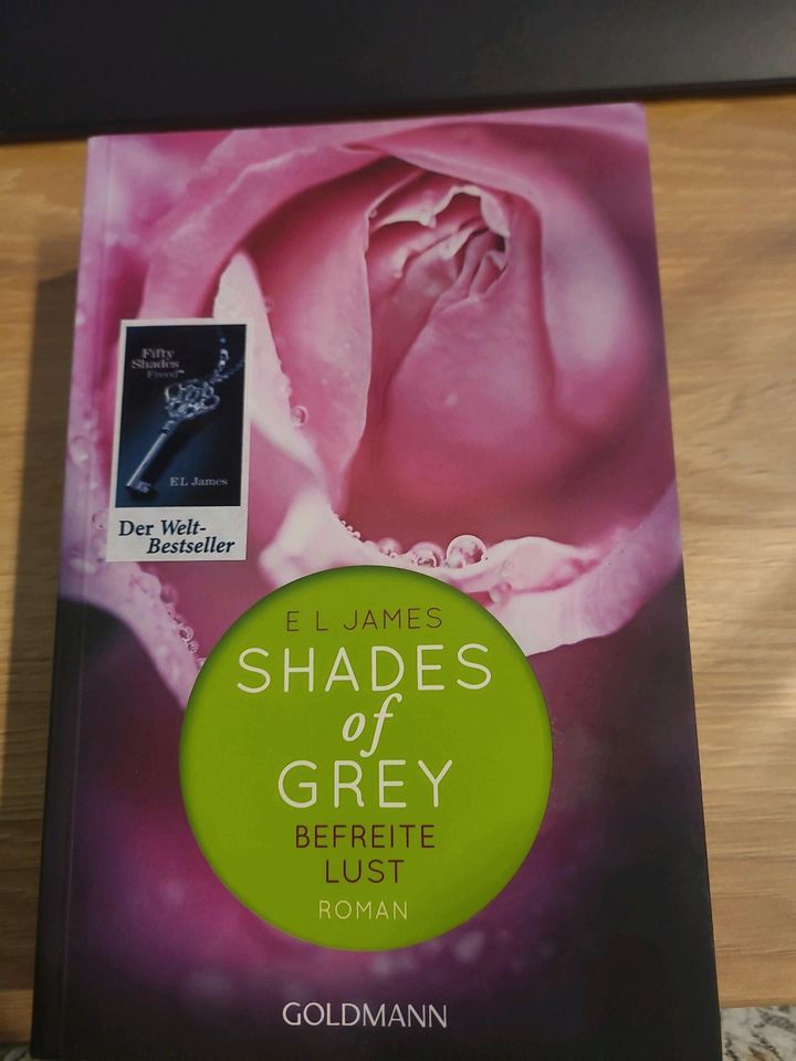 Buch Shades of Grey befreite Lust in Villmar