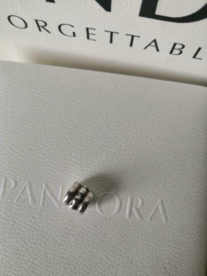 790162 Pandora Original Bead / Charm Silber S925 ALE retired in Berlin