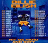 Billie eilish tickets 2x Duisburg - Hamborn Vorschau