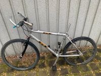 syncros gt Mountainbike Fahrrad Nordrhein-Westfalen - Bergkamen Vorschau
