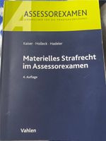 Kaiser Skript Materielles Strafrecht 4. Auflage 2018 Dresden - Äußere Neustadt Vorschau