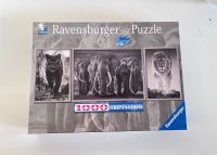 LNr. 467# Puzzle Ravensburger, Triptychon, Tiere, 98x37,5cm Schleswig-Holstein - Norderstedt Vorschau