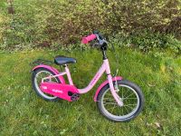 Kinderrad Fahrrad 16 Zoll Noxon 1. Hand Kinderfahrrad Wandsbek - Hamburg Volksdorf Vorschau