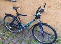 Herren Fahrrad Bianchi 27 Zoll Bayern - Sinzing Vorschau