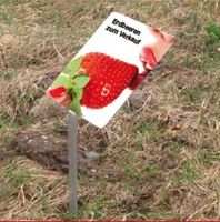 Schildhalter Boden - Für den Garten - Ausstellungen - Obstgärten Baden-Württemberg - Wangen im Allgäu Vorschau