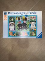 Puzzle Hunde Welpen Sachsen-Anhalt - Farnstädt Vorschau