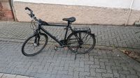 Trekkingbike der Marke Carver Rheinland-Pfalz - Edenkoben Vorschau