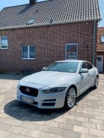 Jaguar Xe 20d Prestige *Sonderausstattung* Nordrhein-Westfalen - Senden Vorschau