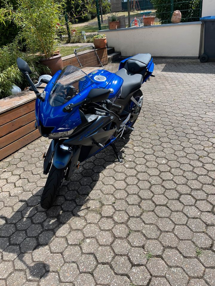 Yamaha YZF-R125 in Icon Blue ( 125ccm ) in Kaltenkirchen