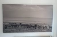 XXL Leinwand Bild Zebras 160 x 90 cm Bayern - Rosenheim Vorschau