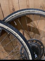 Schwalbe komplett Räder 26 Zoll Friedrichshain-Kreuzberg - Kreuzberg Vorschau