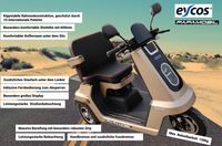 E-trike PAPAMOBIL eycos VGH bis 28.02.2025 jetzt sofort abfahren! Niedersachsen - Winsen (Aller) Vorschau