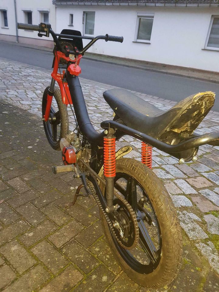 Puch Automatikmofa Moped in Wieglitz