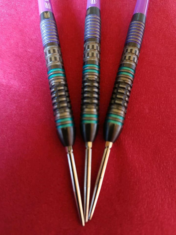 Target ALX Steeldarts in 24 g in Langwedel