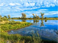 Uferfläche am Bleddiner Riss Grundstück am See Angelgewässer Sachsen-Anhalt - Kemberg Vorschau