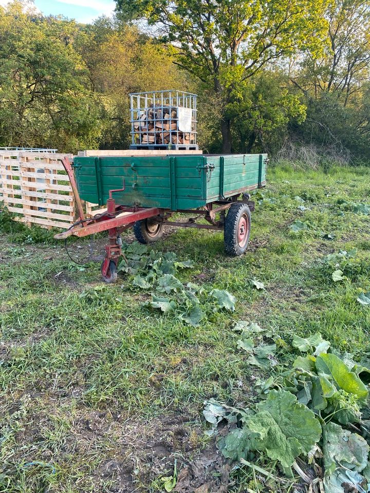 Anhänger Traktor Landwirtschaft in Brauneberg