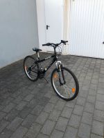 AVIGO Bike 26 Zoll Rheinland-Pfalz - Bad Bergzabern Vorschau