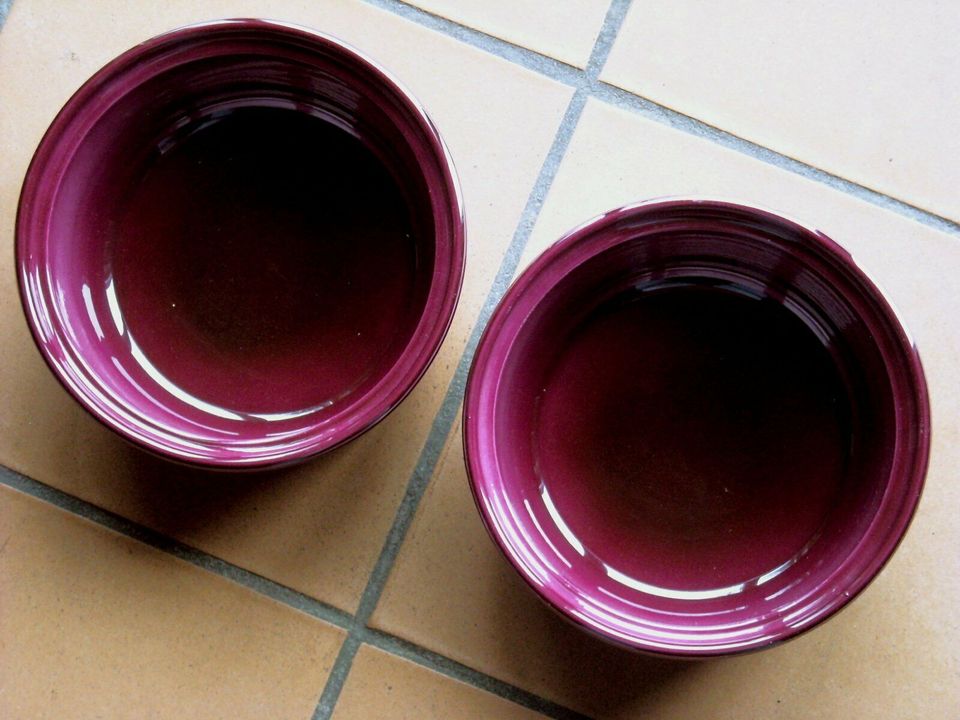 2 Pflanzschalen Servierschüssel Schale Blumengesteck Keramik in Riede