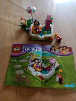 LEGO Friends 41090 Olivia's Gartenpool - ohne Karton Sachsen-Anhalt - Ilsenburg (Harz) Vorschau