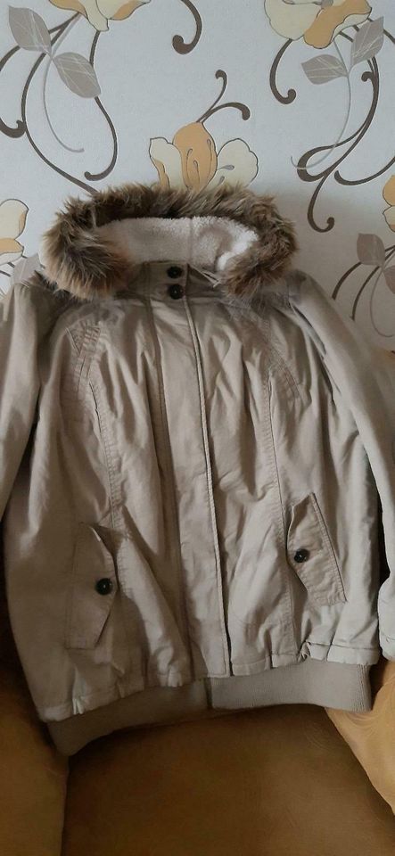 Damen Winterjacke Baumwolle Gr.48/50 NEU in Sachsen - Delitzsch | eBay  Kleinanzeigen ist jetzt Kleinanzeigen