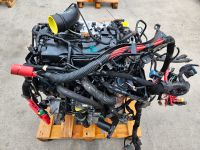 ⭐️MOTOR M9TB702  63.087KM RENAULT OPEL NISSAN 2.3 BITURBO München - Berg-am-Laim Vorschau