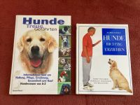 Bücher über Hunde Erziehung Haltung Ernährung Gesundheit Nordrhein-Westfalen - Detmold Vorschau