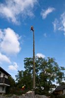 Baumpflege Baumfällung Garten Nordrhein-Westfalen - Hamm Vorschau