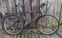 Herren Fahrrad, Colorado Esperia 838, 26", 18 Gang, rot/schwarz Niedersachsen - Ronnenberg Vorschau