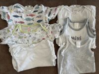 86 Baby Bodys unisex Set Paket Schiesser Alana Pusblu Mecklenburg-Vorpommern - Stralsund Vorschau