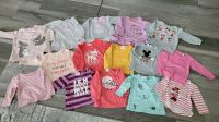 15 Langarmshirts Pullover Babypullover 74 80 Minnie Maus Niedersachsen - Thomasburg Vorschau