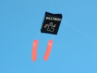 Billy Boy Box Drachen Nordrhein-Westfalen - Barntrup Vorschau