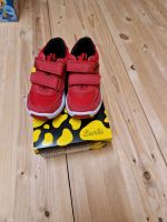 Sneaker Turnschuhe Lurchi -NEU- gr. 25 Rheinland-Pfalz - Arzfeld Vorschau