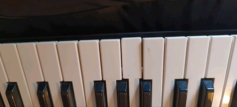 Korg Keyboard OHNE Back-up Batterie in Ginsheim-Gustavsburg