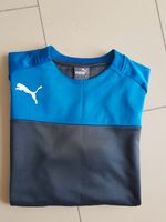 Pulli Puma original Größe L Bayern - Bogen Niederbay Vorschau