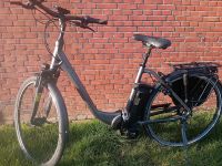 E-Bike /Pedelec Nordrhein-Westfalen - Billerbeck Vorschau