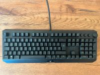 Razer BlackWidow Elite Qwertz Greenswitch Schleswig-Holstein - Handewitt Vorschau