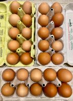 Frische Eier Hühnereier Nordrhein-Westfalen - Detmold Vorschau