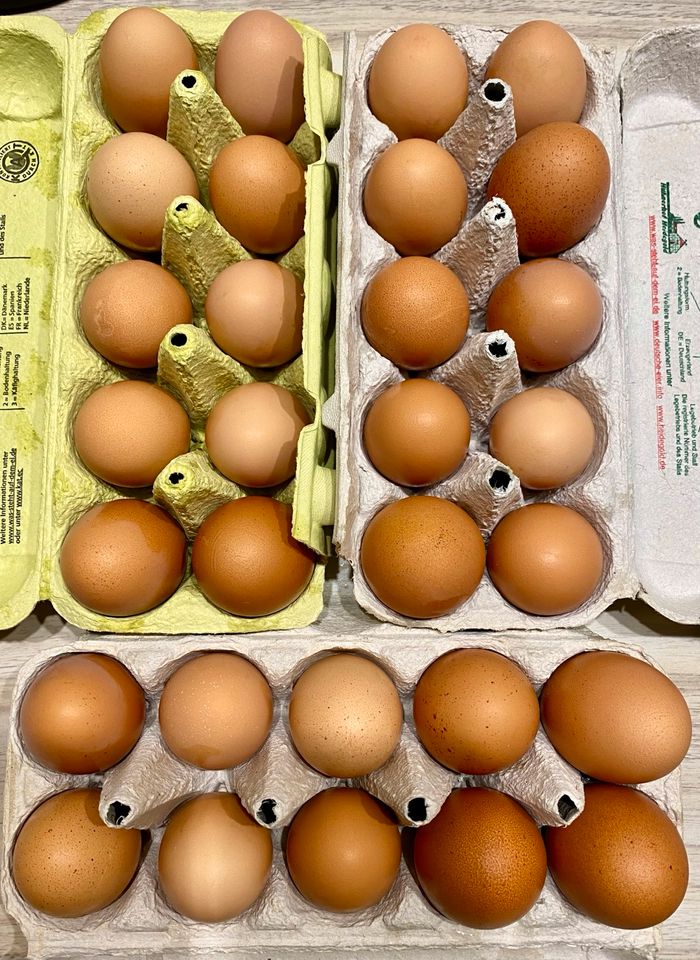Frische Eier Hühnereier in Detmold
