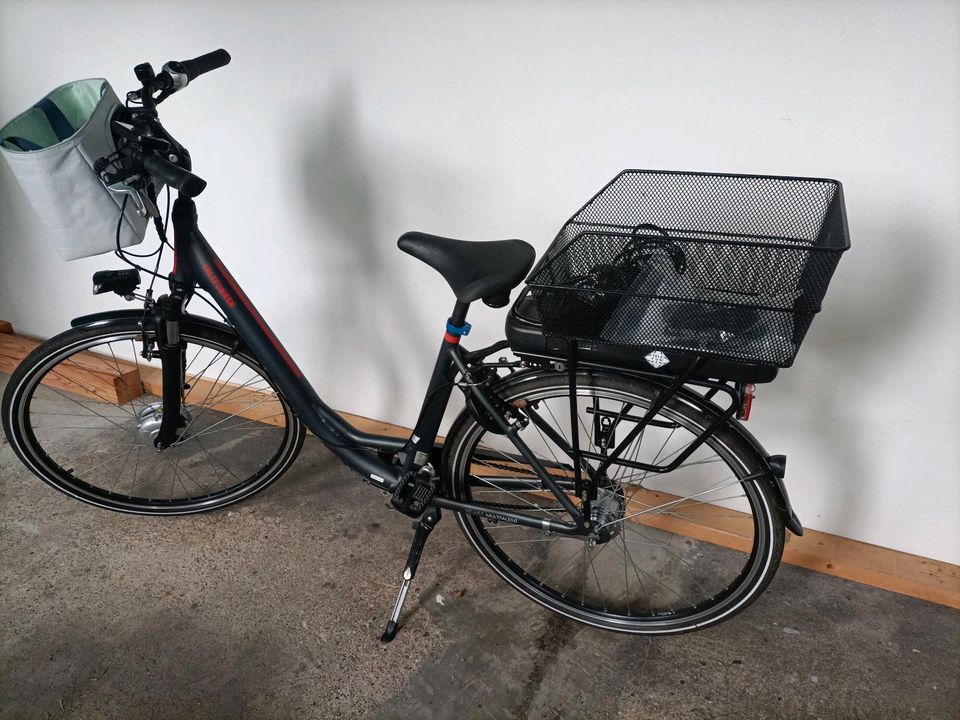 Fahrrad, E-Bike in Wischhafen