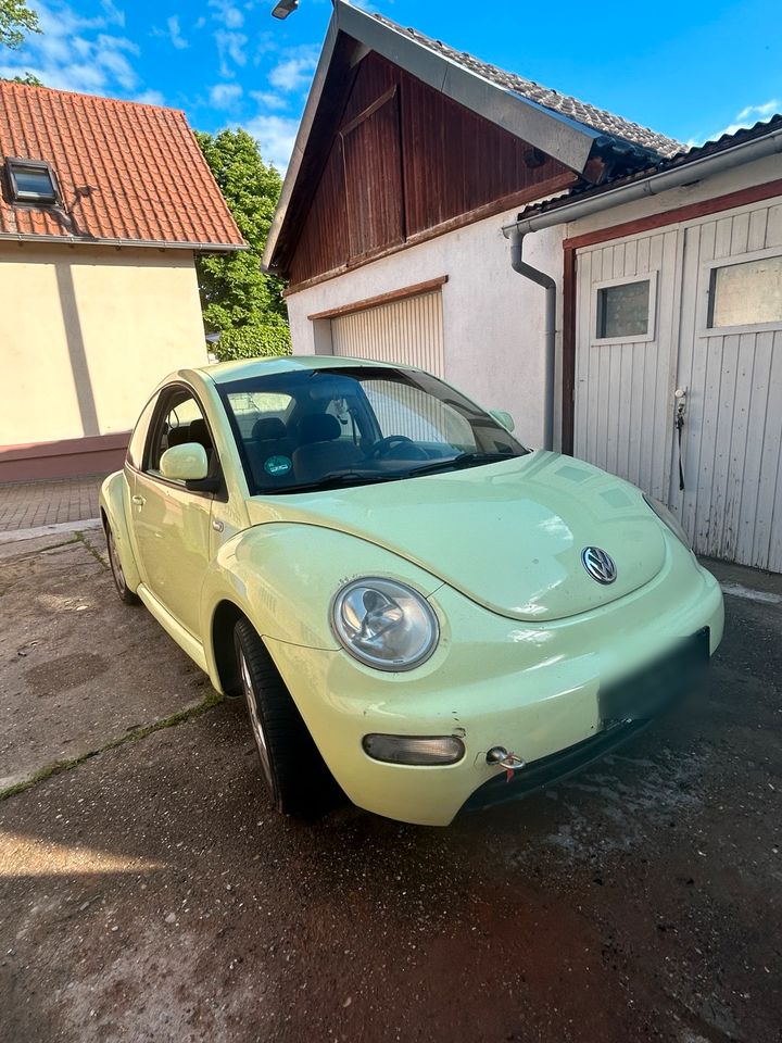 VW New Beetle in Hohen-Sülzen