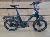 QIO Eins+ P-E * 75Nm /725 Wh ** Forest Green ** Modell 2024 ** 180kg-Zulassung ** E-Bike ** NEU Schleswig-Holstein - Grauel Vorschau