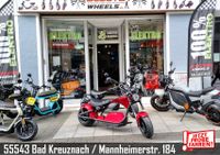 ⚡NEU⚡ Custom Cruiser LE-2 E-Scooter Elektro Chopper ⚡ Umbau ⚡ Rheinland-Pfalz - Bad Kreuznach Vorschau