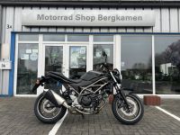 Suzuki SV650/Neufahrzeug/Probefahrt möglich/auch als A2-Variante Nordrhein-Westfalen - Bergkamen Vorschau