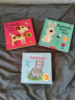 Kinderbücher Baby Sound Fühlbuch Kuckuck Kleinkind Hannover - Döhren-Wülfel Vorschau