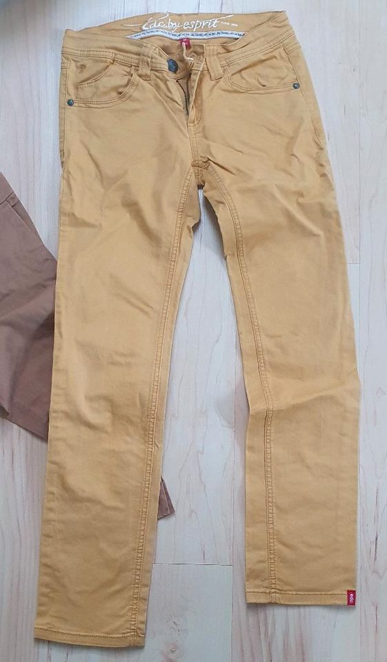 Paket 4 Hosen S M 36 38 gelb ocker Zimt curry weiß H&M Esprit in Schildow