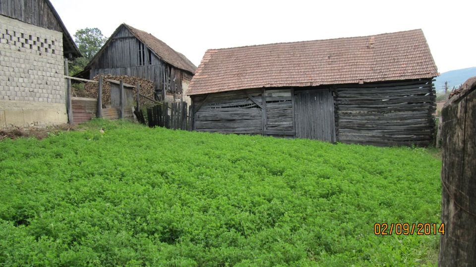 Haus aus 1830 Jahr im Rumänien-Jimbor-Sommerburg-Kronstadt in Nürnberg (Mittelfr)