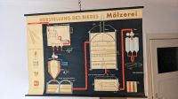 Schulwandkarte / Wandkarte Herstellung des Bieres 1950er Eimsbüttel - Hamburg Stellingen Vorschau