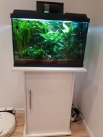 Aquarium komplett mit Unterschrank und Zubehör 30x40x60 cm Nordrhein-Westfalen - Paderborn Vorschau
